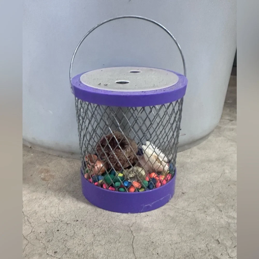 Small Pet Hideaway Hermit crab - Purple